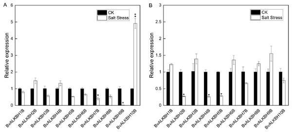 Expression analysis of BvALKB genes under salt stress.