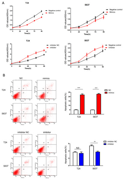 miR-148a-3p inhibits cell proliferation and promotes cell apoptosis.