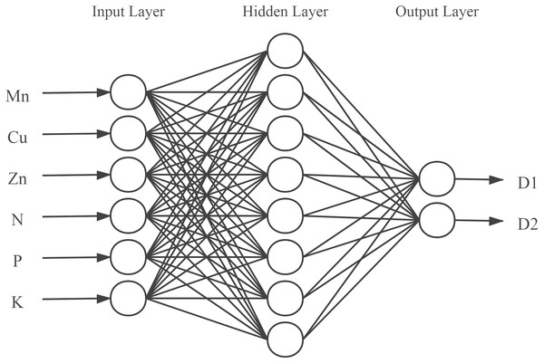 Structure of the back propagation neural network.