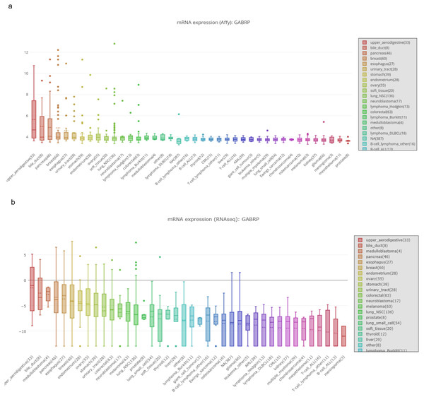 MRNA expression of GABRP in different organs and cancer cell lines.