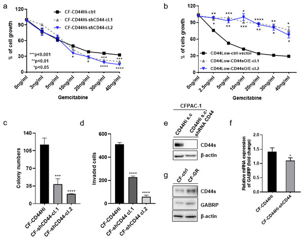 MRNA expression of GABRP and gemcitabine sensitivity comparison between CFPAC-1-CD44 Hi and stable knockdown of shRNA-CD44 PDAC cells.