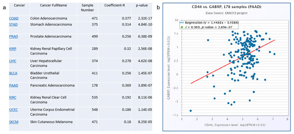 Co-expression of CD44 and GABRP in pancreatic cancer patients.