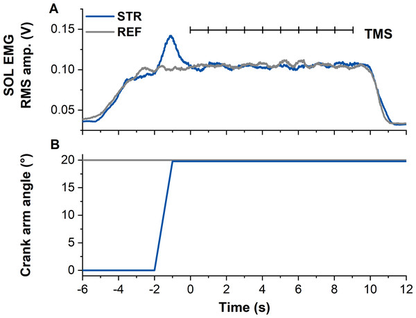 Example data from the stretch-hold (STR, blue) and fixed-end reference (REF, grey) contraction conditions.