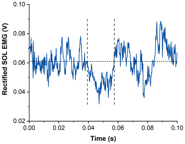Example data of rectified and averaged soleus (SOL) EMG from contractions with subthreshold transcranial magnetic stimulation (TMS).