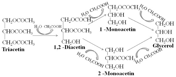 Scheme of lipase hydrolysis of triacetin.