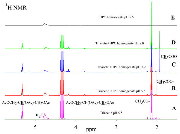 1H NMR spectra of triacetin, HPC homogenate and products of triacetin hydrolysis by HPC homogenate at 37 °C at different pH.
