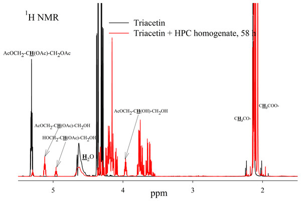 1H NMR spectra of products of a saturated triacetin solution hydrolysis by HPC homogenate at 37 °C and pH 7.2 for 58 h.