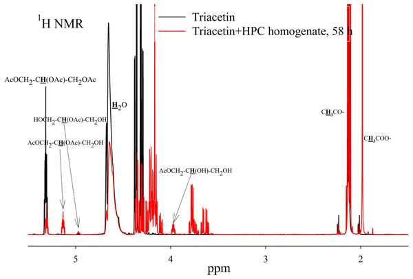 1H NMR spectra of hydrolysis products of triacetin solution by HPC homogenate at 37 °C and pH 7.2.