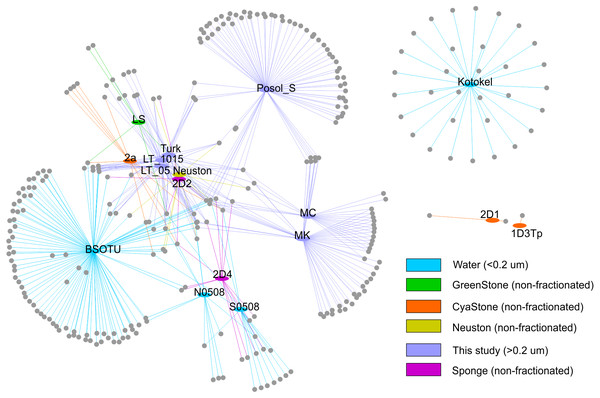 Network demonstrating the relationship of the studied OTUs with other previously obtained sequences: S0508 and N0508 (Butina et al., 2010); 2D1, 1D3Tp, 2D2, 2D4, and Neuston (Potapov et al., 2020); Lake Kotokel (Butina et al., 2013).