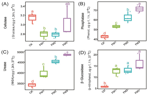 Effects of filtered mud on soil enzyme activities (A) Cellulase (B) Phosphatase (C) Urease (D) β-glucosidase. CK (control), FM: Filtered mud; FM1 (FM:soil at 1:4), FM2 (FM:soil at 2:3), FM3 (FM:soil at 3:2).