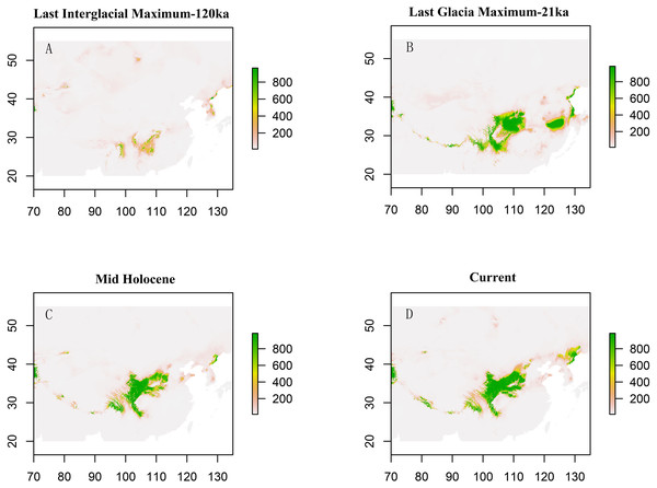 Estimated climatic niche models for Triosteum pinnatifidum.