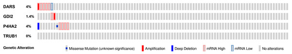 Genomic alterations of DARS/GDI2/P4HA2/TRUB1 in GBM.