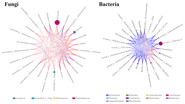Single factor co-correlation networks of fungal and bacterial communities.