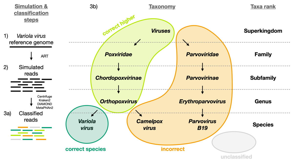 Benchmarking metagenomics classifiers on ancient viral DNA: a simulation  study [PeerJ]