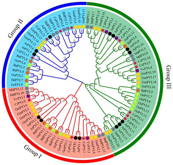 PYL phylogenetic trees of seven plants.