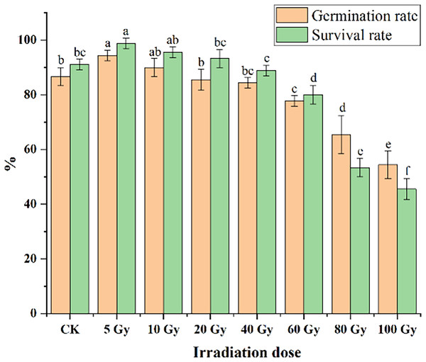 Influences of different irradiation doses on germination rates (15 d) and survival rates (45 d) of tulips.