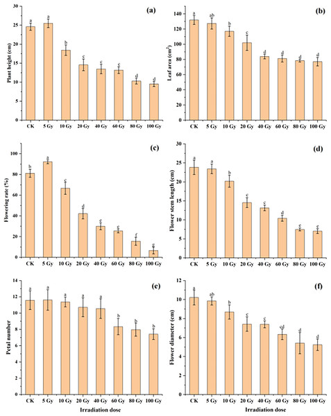 Influences of different irradiation doses of γ-rays on plant height (A), leaf area (B), flowering rate (C), flower stem length (D), petal number (E) and flower diameter (F) of treated tulips.