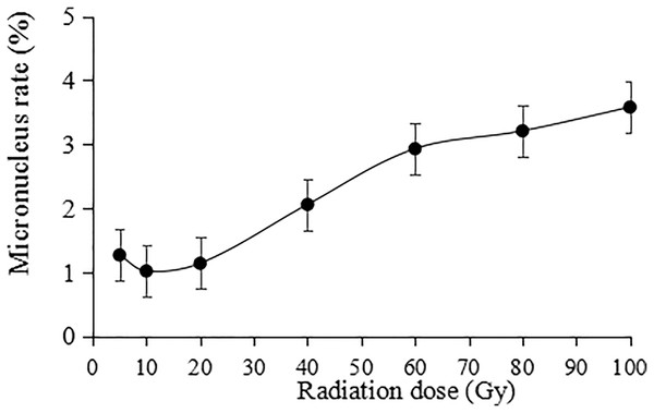 Statistics on the micronucleus rate in tulip root tips under irradiation treatments.
