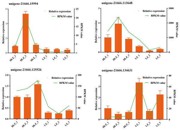 Validation of the RNA-Seq data by qRT-PCR.