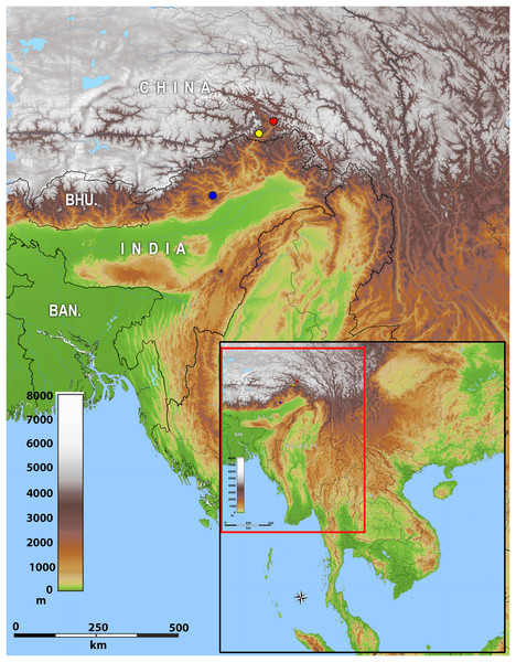 Map of showing the distribution of Protoblepharus gen. nov. in Arunachal Pradesh, India and Tibet, China.