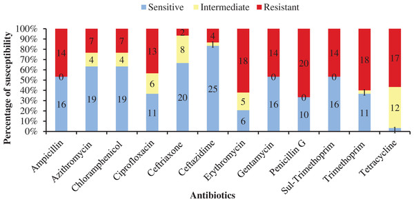 Antibiotic susceptibility of bacterial isolates.