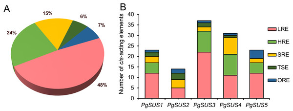 Analysis of cis-acting element numbers in promoter region of five PgSUS.