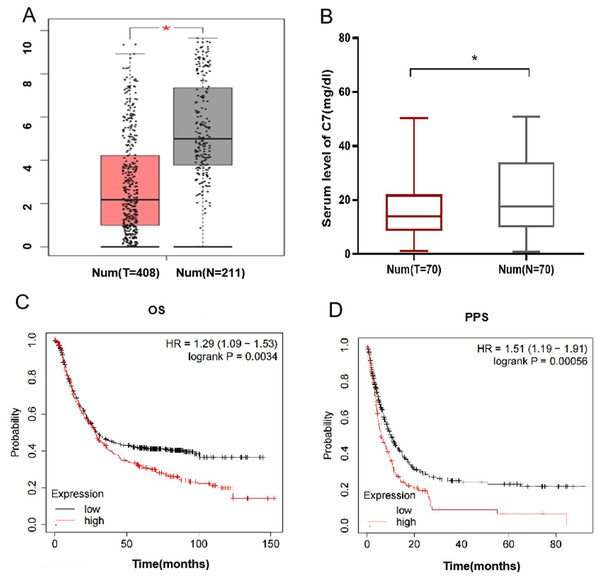  C7 expression in gastric cancer and its effect on the prognosis of gastric cancer patients.