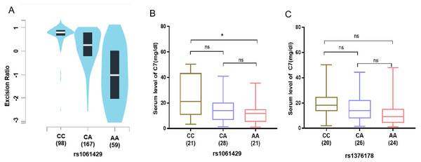  Association of C7 expression in gastric cancer patients with C7 genetic polymorphisms.