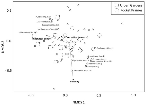 Multidimensional scaling plot showing the relative impact that environmental variables have on arthropod community composition.