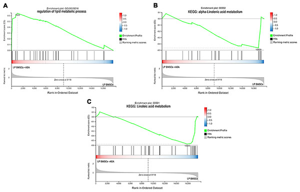 The enrichment of DEGs in LP BM-MSCs treated with aspirin was analyzed via gene set enrichment analysis (GSEA).