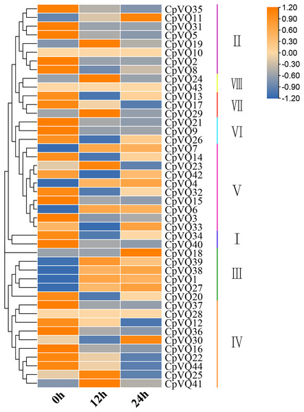 Expression profiles of CpVQs under powdery mildew stress based on the RNA-seq data.