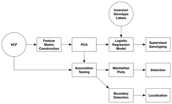 Diagram of inversion analysis workflows.