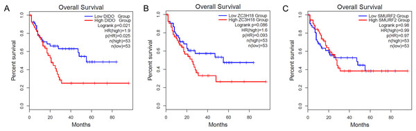 The KM-plot in Acute myeloid leukemia stratified by the expression level of DIDO (A), ZC3H18 (B), and SMURF2 (C).