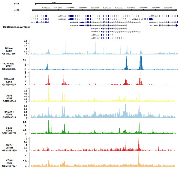 The transcript factors and epigenetic factors that bind with DIDO gene analyzed by public data.