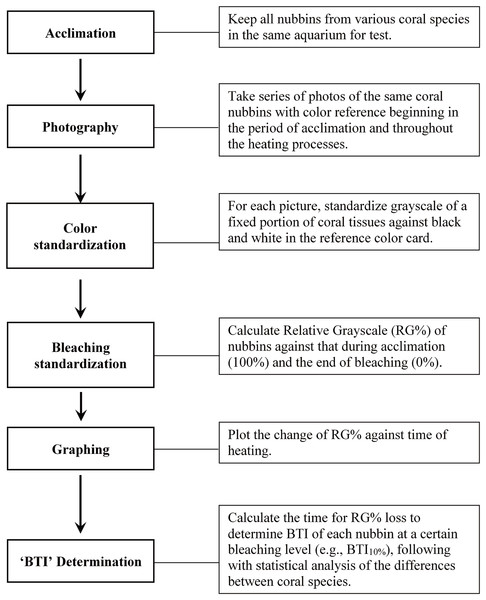 Outline of the study procedure for determining bleaching time index (BTI) of corals through image analysis.