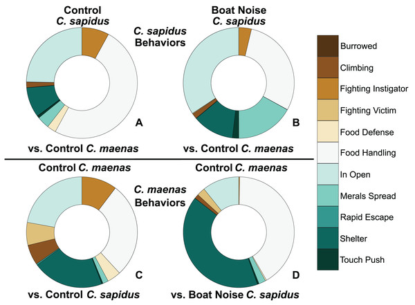 Proportion of behavioral allocation of competing C. sapidus and C. maenas during interspecific interactions when the C. sapidus individual was either unexposed or boat noise-exposed.