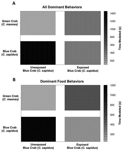 Changes in modeled dominant competitive behaviors of unexposed and noise-exposed blue crabs (C. sapidus) and paired unexposed green crabs (C. maenas).