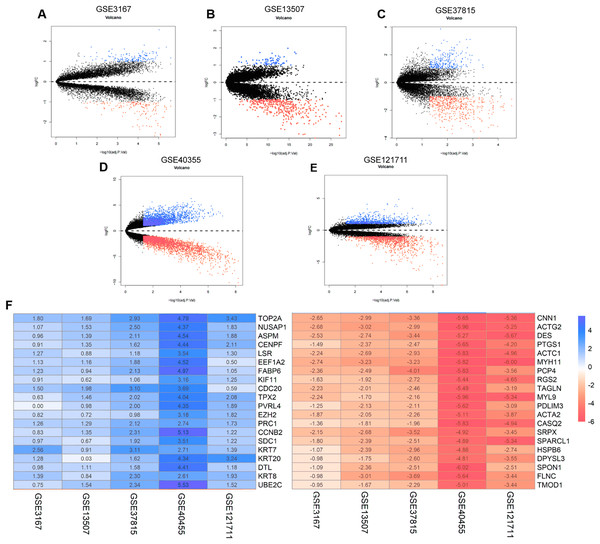 The process of screening candidate genes.