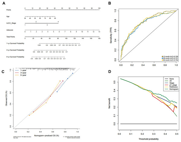 Validation of the nomogram for OS prediction in bladder cancer using the TCGA dataset.
