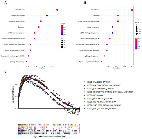 Functional enrichment analysis of the eight-gene signature.