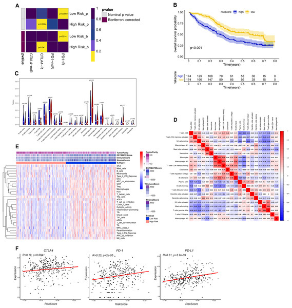 Differential putative immunotherapeutic response prediction and verification of tumor immune landscape in IMvigor210 cohort.
