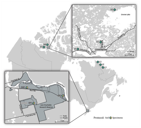 Map showing the 11 Canadian sites where soil samples were collected and the three sites where specimen samples were also obtained.