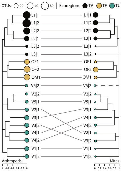 Hierarchical clustering of pairwise Sorensen dissimilarity values for arthropod and mite OTUs detected from 19 soil samples from 11 sites and three ecoregions.