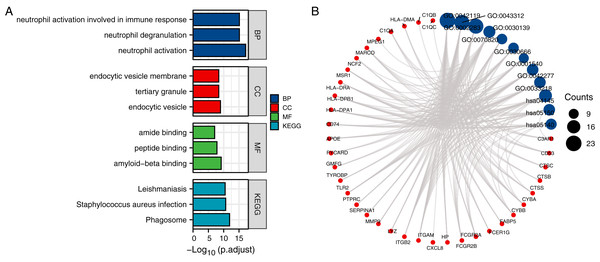 Identification of CTS-related genes and functional analysis results.