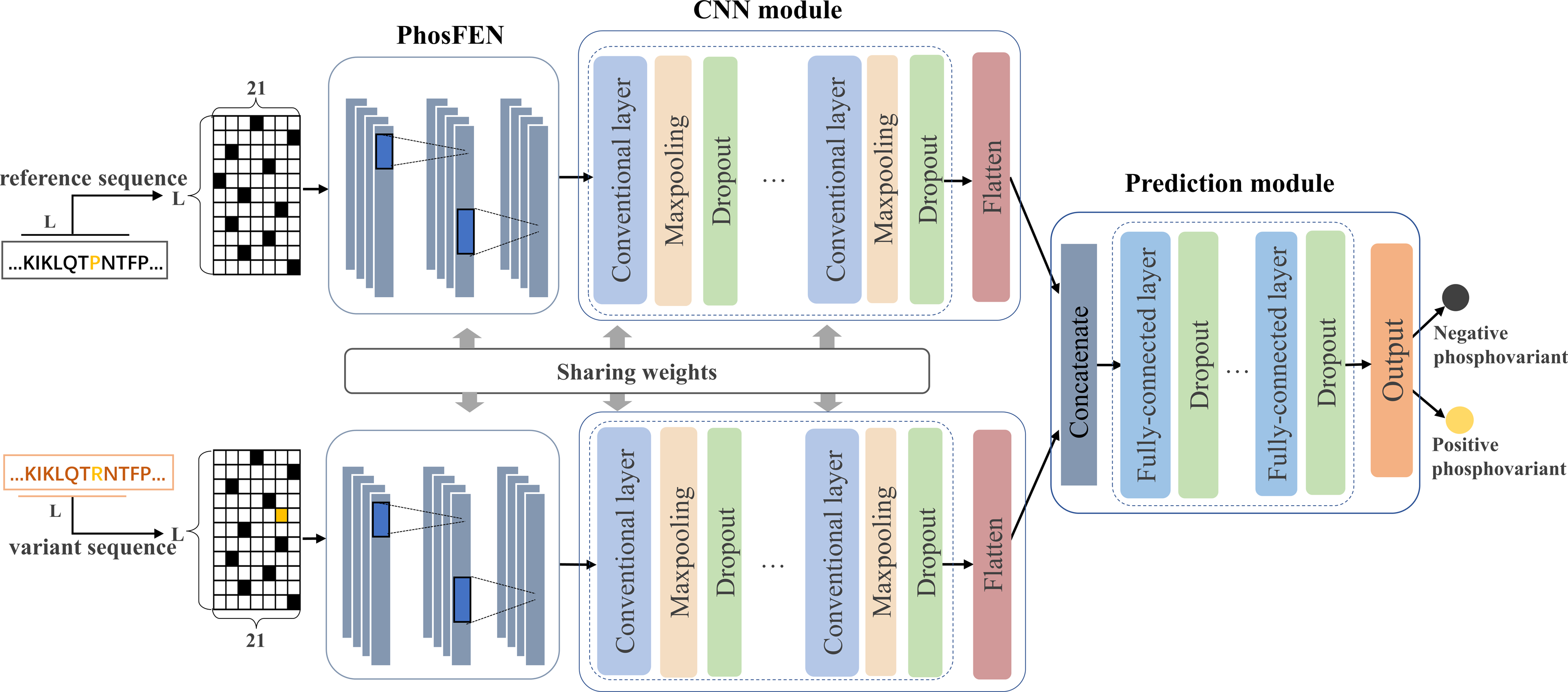 PhosVarDeep: deep-learning based prediction of phospho-variants