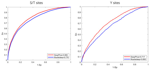 ROC curves and AUC values of DeepPhos and Musitedeep for general phosphorylation site prediction on S/T and Y sites.