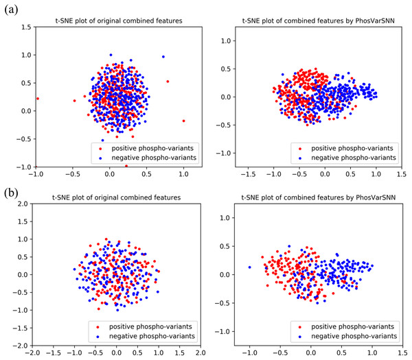 Visualization of original combined one-hot encoding features and combined features extracted by PhosVarDeep.