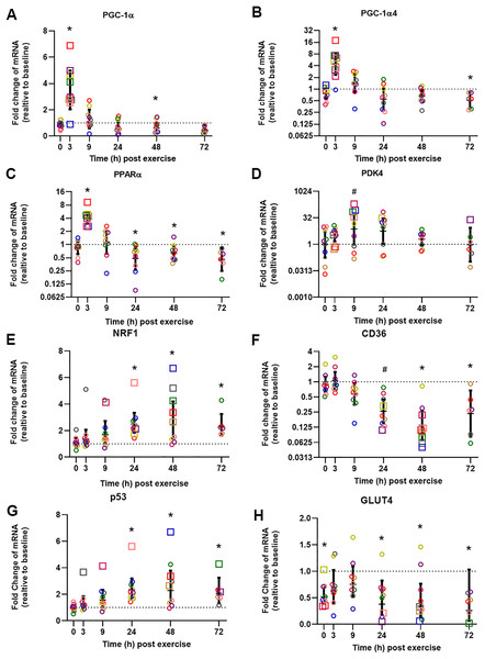 Relative fold changes compared to baseline for the mRNA content of PGC-1α (A), PGC-1α4 (B), PPARα (C), PDK4 (D), NRF1 (E), CD36 (F), p53 (G), and GLUT4 (H), following a single session of HIIE.