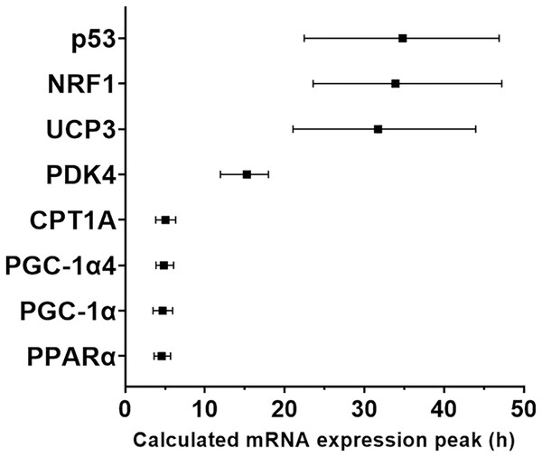 Modelled time of mRNA expression peak following a single session of high-intensity interval exercise in relation to biopsy timing in nine participants.