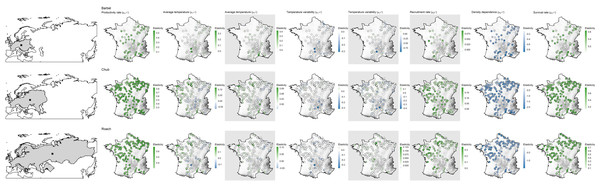 Species range (grey polygons) and associated geographic centers (black square) along with spatial variation in the contribution of biotic and abiotic factors to the population dynamic of the three species across metropolitan France.